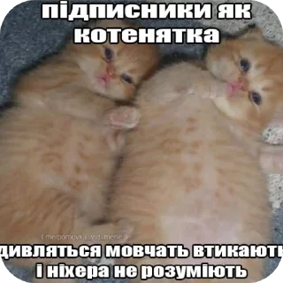 Sticker from Чиназес