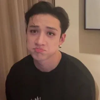 🥺 emoji Чан Бан Telegram sticker 5 of 33