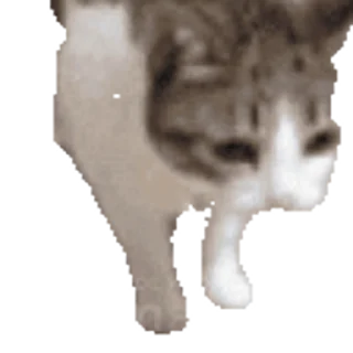 💀 emoji Не заходи сюда👉🏻 @stikiin Telegram sticker 8 of 50