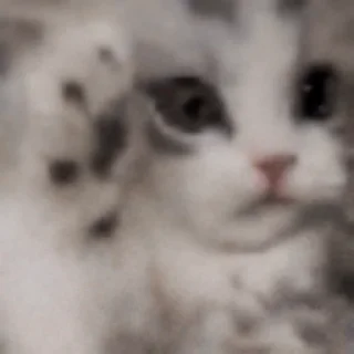 😿 emoji Не заходи сюда👉🏻 @stikiin Telegram sticker 18 of 50