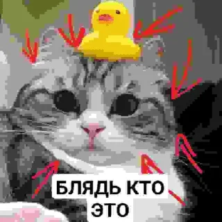 Sticker from БЛЯДЬ КТО ЭТО