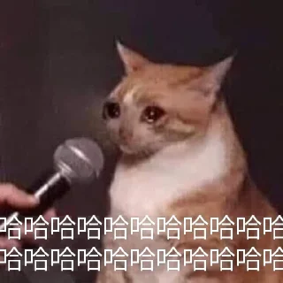 🌯 emoji Спешл фор Дан + Telegram sticker 24 of 58