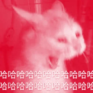 😭 emoji Спешл фор Дан + Telegram sticker 5 of 58
