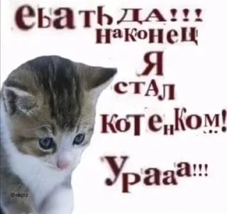 🐺 emoji Больше стиков тут: @stikery4 Telegram sticker 24 of 82