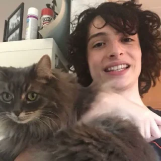 😼 emoji finnwolfhard Telegram sticker 22 of 38