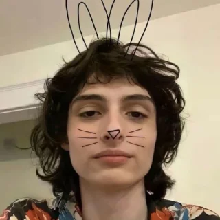 🐰 emoji finnwolfhard Telegram sticker 14 of 38