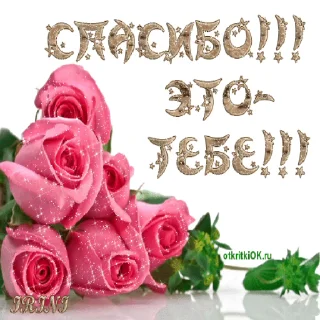 🌷 emoji Анонимный чат: @anonimnyi_chatbot 💓 Telegram sticker 4 of 50