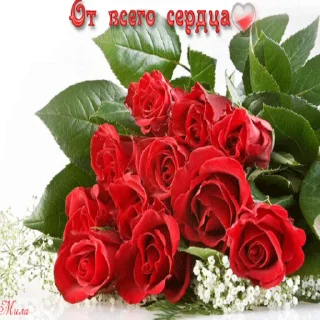 🌹 emoji Анонимный чат: @anonimnyi_chatbot 💓 Telegram sticker 1 of 50