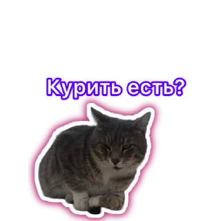 🌟 emoji Адд Telegram sticker 22 of 42