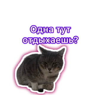 🌟 emoji Адд Telegram sticker 5 of 42