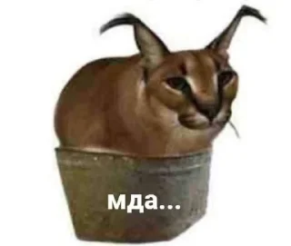 😔 emoji russian agent Telegram sticker 5 of 109