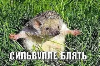 🤝 emoji мемы и йа Telegram sticker 8 of 120