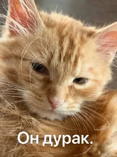 😾 emoji MavisDealSlaps Telegram sticker 10 of 27
