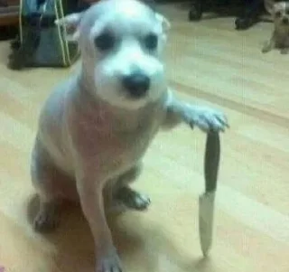 🌟 emoji бебрята Telegram sticker 24 of 120