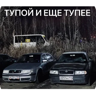 🫥 emoji SKODA AIRLINES Telegram sticker 14 of 27