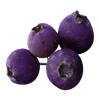 🦷 emoji 𓂃 ᨳ 𝅄 🪡🪡  @scorrall [[🍴] ..  𐙚  𓂃 ➡️ @Ctikerubot Telegram sticker 15 of 63