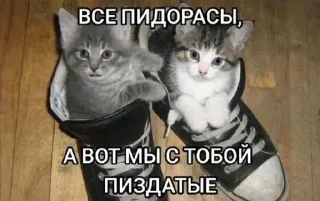 😭 emoji ...б? Telegram sticker 6 of 40