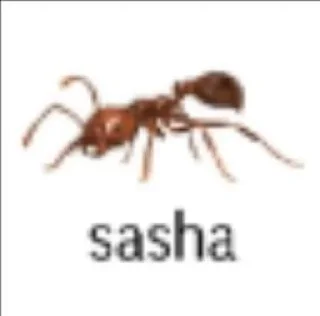 🫡 emoji Безопасный мем Telegram sticker 16 of 20