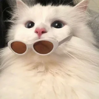 😎 emoji котейки^^. Telegram sticker 19 of 23