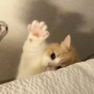 🖐 emoji котейки^^. Telegram sticker 8 of 23