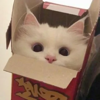 ☺️ emoji котейки^^. Telegram sticker 10 of 23