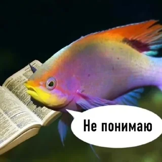 Sticker from рыбывнепонятках