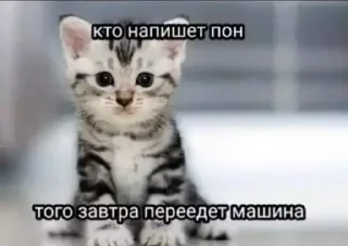 🖕 emoji на все случаи жизни)) Telegram sticker 13 of 120