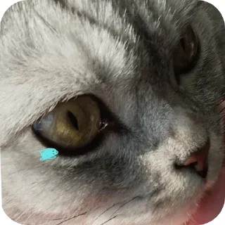 😢 emoji Vincent 😇😇😇 Telegram sticker 24 of 46