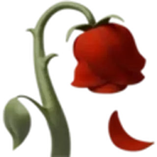 🥀 emoji rafo420 ➡️ @Ctikerubot Telegram sticker 15 of 17