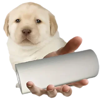 🎞 emoji Больше стиков тут: @stikery4 Telegram sticker 7 of 37