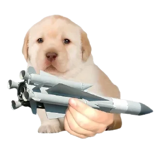 🚀 emoji Больше стиков тут: @stikery4 Telegram sticker 6 of 37