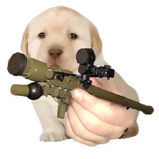 🪡 emoji Больше стиков тут: @stikery4 Telegram sticker 12 of 37