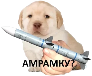 🚀 emoji Больше стиков тут: @stikery4 Telegram sticker 14 of 37