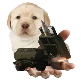 🚚 emoji Больше стиков тут: @stikery4 Telegram sticker 21 of 37