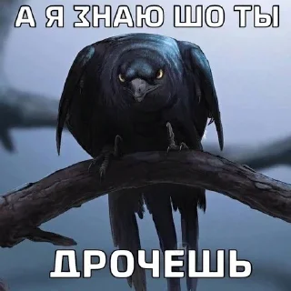 🤓 emoji ДЭДОВЫ НАКЛЕЙКИ Telegram sticker 8 of 60