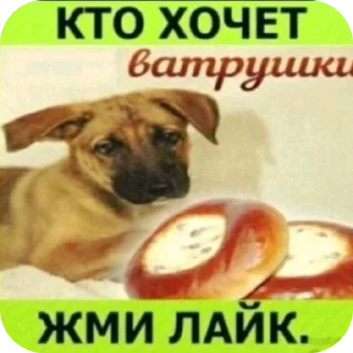 👍 emoji БОЛЬШЕ ⇨ @FULLSITION Telegram sticker 14 of 89
