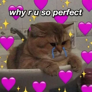 🐱 emoji Больше стикеров тут: @stikery_emodzi_memy Telegram sticker 8 of 50