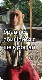 🌟 emoji бибисяни Telegram sticker 3 of 120
