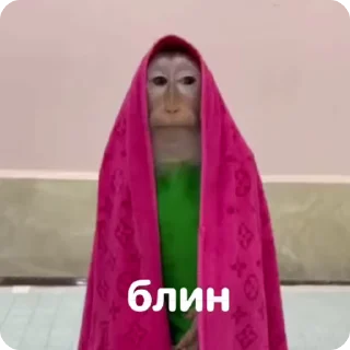 😅 emoji бибисяни Telegram sticker 10 of 120