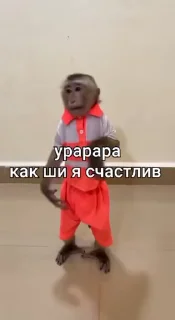 🙈 emoji бибисяни Telegram sticker 13 of 120