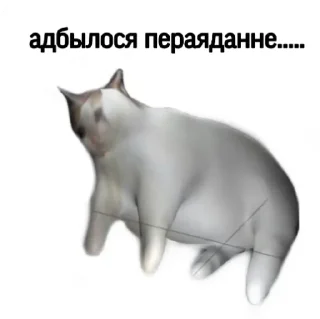 😵‍💫 emoji беларускія мемы для душы Telegram sticker 13 of 57