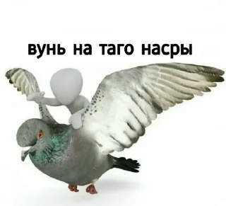 👈 emoji беларускія мемы для душы Telegram sticker 2 of 57
