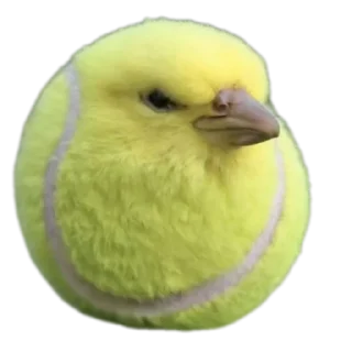 🐦 emoji ФУРРИ ПОРНО ах~ @furryr4 Telegram sticker 24 of 120