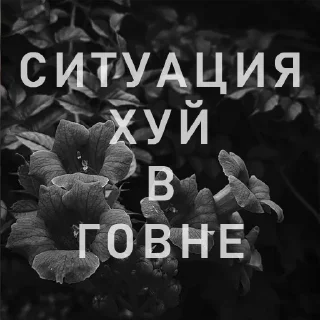 Sticker from Вайсманяткин вайб