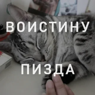 👍 emoji Вайсманяткин вайб Telegram sticker 23 of 38