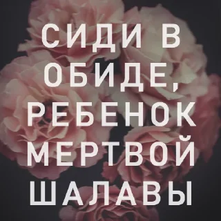🖕 emoji Вайсманяткин вайб Telegram sticker 22 of 38