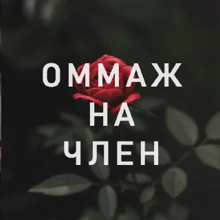 🖋 emoji Вайсманяткин вайб Telegram sticker 21 of 38