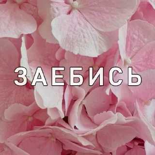 Sticker from Вайсманяткин вайб