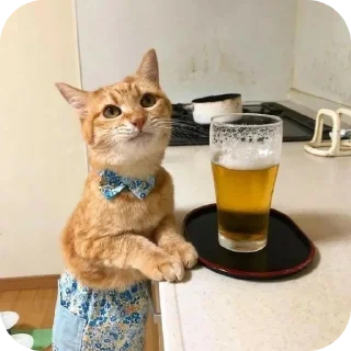 🐱 emoji вайб Telegram sticker 11 of 49