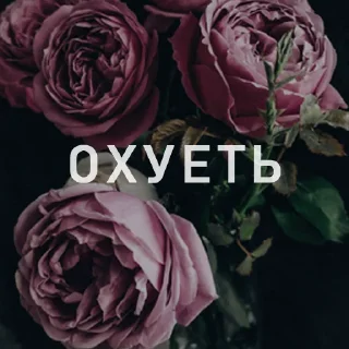 🫠 emoji Вайсманяткин вайб Telegram sticker 5 of 38